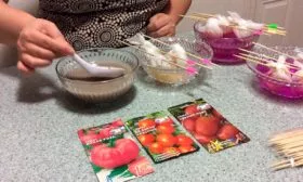 Как подготовить семена к посеву