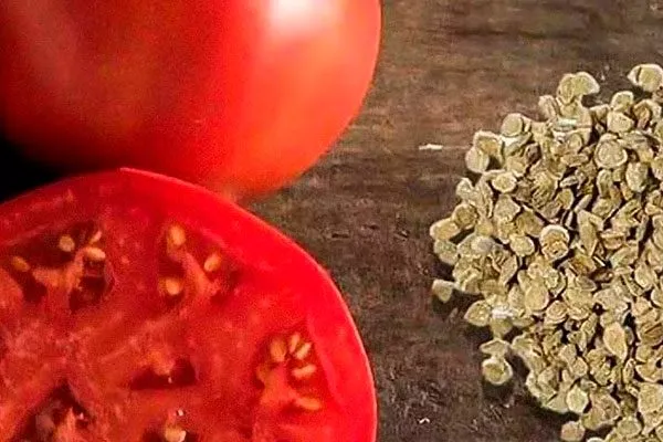 Как подготовить семена