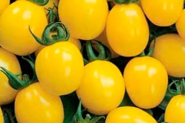 Карамель жёлтая