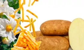 Вкусовые характеристики и назначение