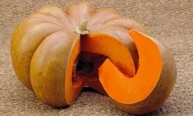 Сроки созревания и урожайность