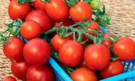 Применение