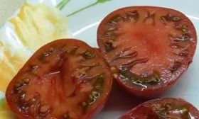 Назначение и применение