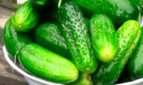 Назначение и вкусовые качества