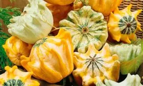 Описание куста и плодов1