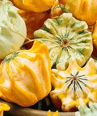 Описание куста и плодов1