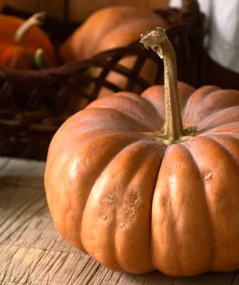 Описание куста и плодов