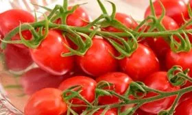 Описание куста и плодов