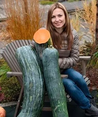 Описание куста и плодов