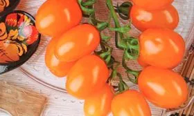 Описание куста и плодов