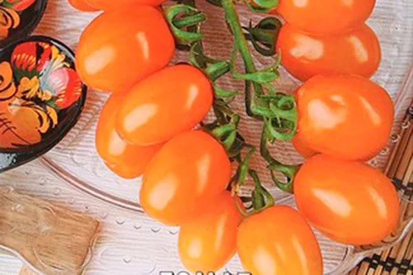 Описание куста и плодов