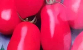 Сбор и хранение