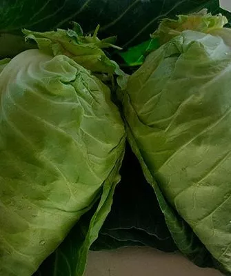 Характеристики