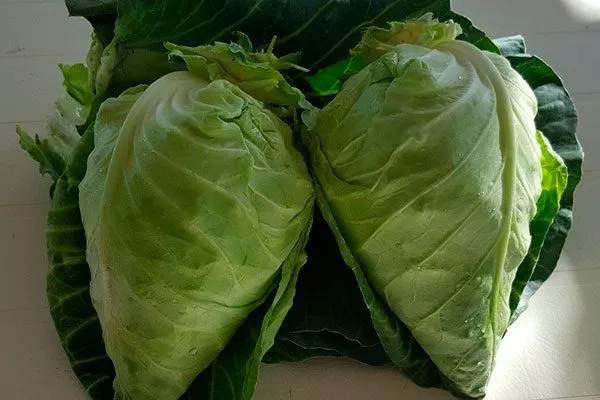 Характеристики