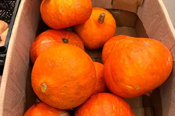 Сбор и хранение урожая