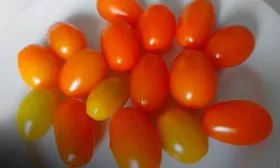 Основные характеристики и история2