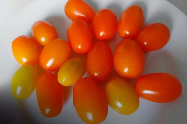 Основные характеристики и история2