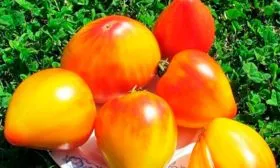 Характеристики