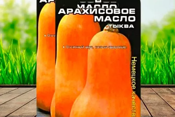 Описание тыквы Арахисовое масло