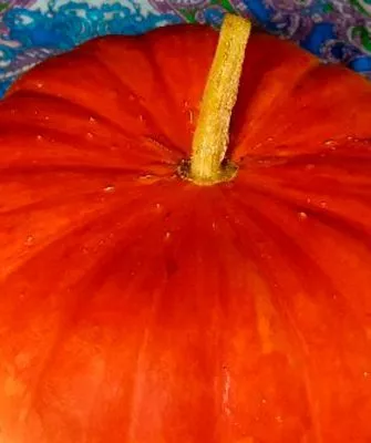 Основные характеристики