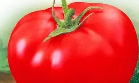 Основные характеристики