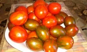 Отличительные черты сорта, куста и плодов