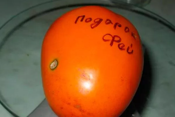 Описание куста и плодов 3