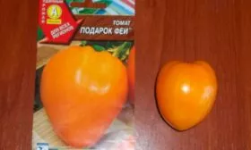 Описание куста и плодов1