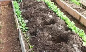 Подготовка грядок