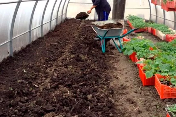 подготовка почвы