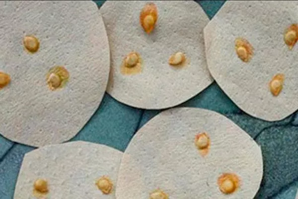 Подготовка семян