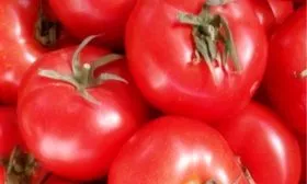 Полив и подкормки