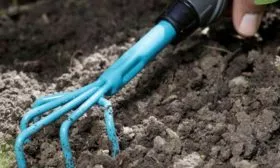 Полив и рыхление