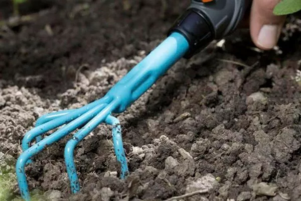 Полив и рыхление