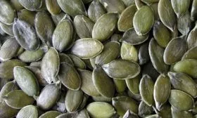 Польза и вред тыквы Штирийская