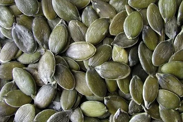 Польза и вред тыквы Штирийская