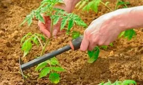 Рыхлении почвы