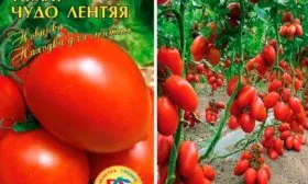 Характеристики