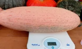 Характеристики