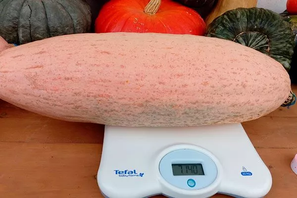 Характеристики