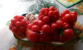 Сфера применения