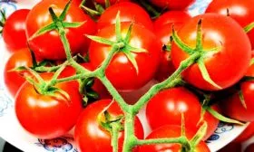 Сбор и хранение урожая