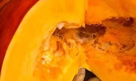 Основные характеристики