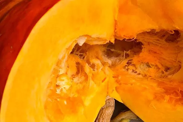 Основные характеристики