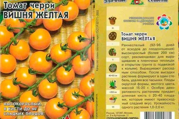 Вишня жёлтая (гибрид)