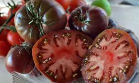 Вкус плодов и их назначение