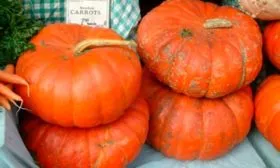 Основные характеристики