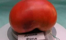 Сбор и хранение урожая