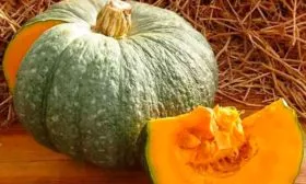 Назначение и вкусовые качества