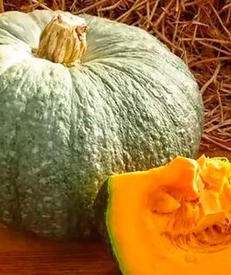 Назначение и вкусовые качества